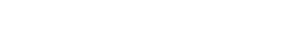 SolvCRM+